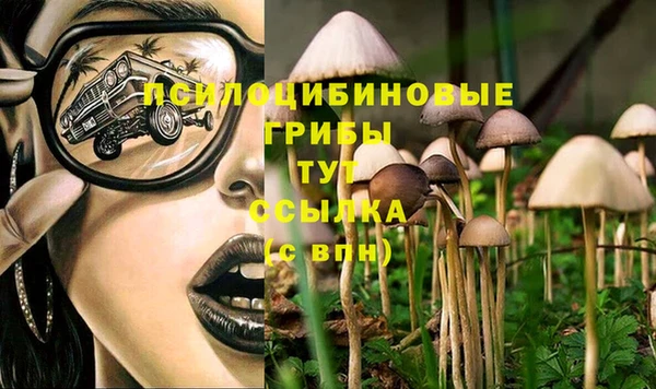 бошки Алексин